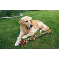 thumbnail image 3 of Penn-Plax Rope Toy, 3 of 6
