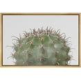 thumbnail image 3 of PixonSign Framed Canvas Print Wall Art Spiky Ball Cactus Botanical Wilderness Photography Realism Contemporary Portrait Colorful Cool for Living Room, Bedroom, Office - 24"x36" Natural, 3 of 5