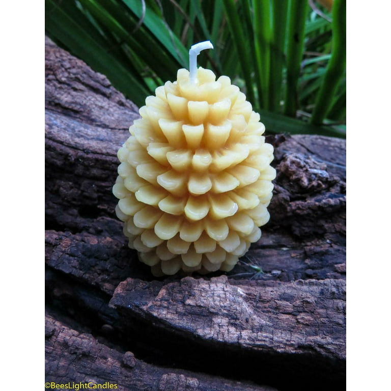 1 lb 100% Pure Natural Yellow Beeswax Pellets for Candle Making Crafti –  B&Q CO.