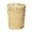 Gold, variant on Threaded Trash Can Lightweight Waste Basket Durable Garbage Bin For Kitchen Office Bedroom Bathroom(Gold-21.3X25X18Cm)