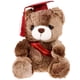 thumbnail image 1 of KAKOWELY Oso de peluche de graduación, recuerdo de peluche, oso de graduación, oso de peluche, 1 of 4
