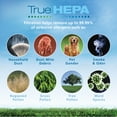 thumbnail image 3 of Holmes aer1 HEPA-Type Total Air Filter Replacement with Dust Elimination, 2 Count, 3 of 3