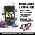 thumbnail image 3 of NutraBio Alpha EAA - All-Day Aminos - Recovery, Energy, Focus, and Hydration Supplement - Full Spectrum EAA BCAA Matrix, Electrolytes, Nootropics, Coconut Water - 30 Servings - Grape Berry Crush, 3 of 8