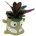 thumbnail image 4 of Snaggle Tooth Green  Halloween Planter with House Plant -4" Green Ceramic Pot, 4 of 4