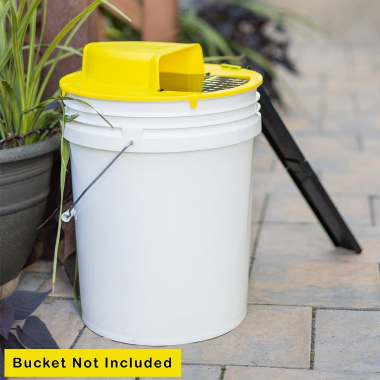 RinneTraps Original Flip N Slide Humane Bucket Lid Mouse Trap, 4