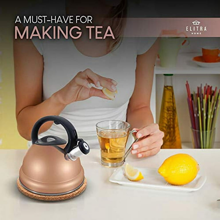 SUSTEAS Retro Tea Kettle for Stove Top, 2.64QT Whistling Teapot with  Ergonomic Handle, Silver