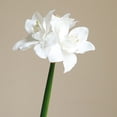 thumbnail image 6 of karymi Artificial Clivia Amaryllis Flower 1pcs Faux Realistic Blooms Tall 25.19 In Home Decor Wedding Centerpiece Vase Floral Arrangement Gift Ideas, 6 of 6