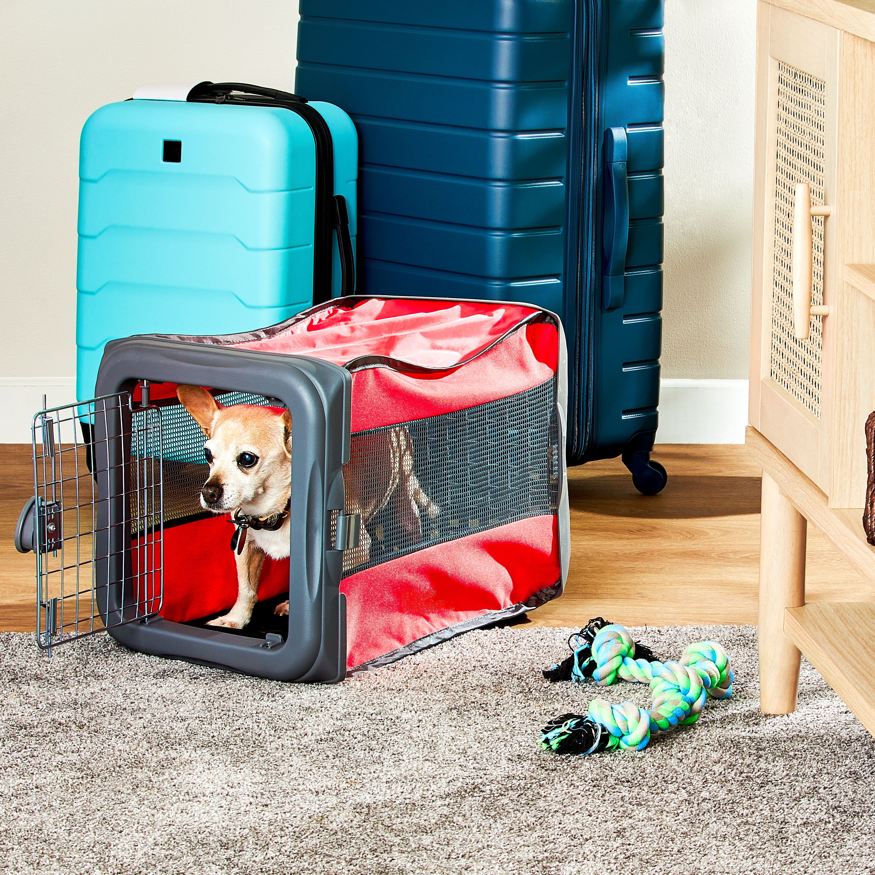 Buy Vibrant Life Small Pop Up Pet Kennel Online New Zealand Ubuy