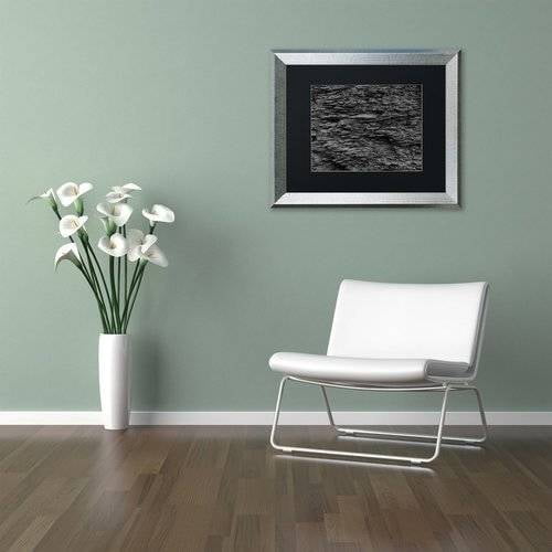 Trademark Fine Art "Shale Abstract in Black and White" Canvas Art by Kurt Shaffer, Black Matte, Silver Frame
