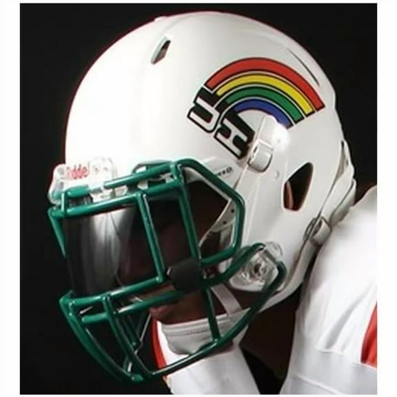 Hawaii Rainbow Warriors Retro Rainbow Riddell NCAA Speed Mini Helmet