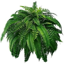 Large Artificial Boston Fern That Looks Real - UV Resistant Fern for Outdoor/Indoor Use, for Hanging Baskets, Planters & Home/Office Decoration