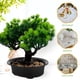 thumbnail image 2 of Árbol de bonsái artificial, planta realista, bonsái en maceta, adorno de bonsái de pino en maceta, 2 of 5