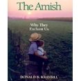 thumbnail image 1 of Amish: Why They Enchant Us, 1 of 1