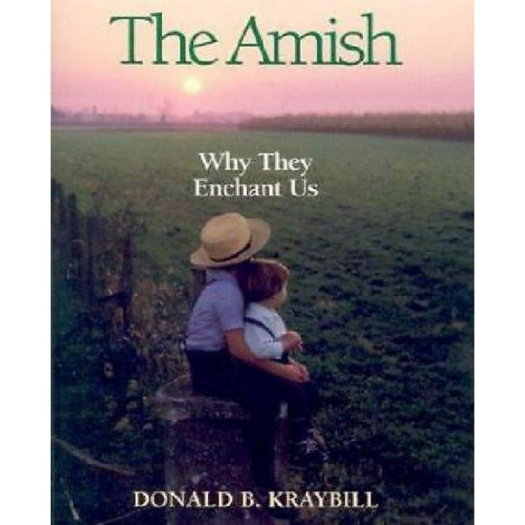 Amish: Why They Enchant Us