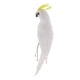 thumbnail image 4 of Figura decorativa de loro en miniatura, modelo de animal, para bodas F, 4 of 9