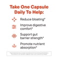 thumbnail image 3 of Daily Nouri Digestive Support Probiotic with Omega for Digestion, Immune, and Brain Health, 30 Day Supply, 3 of 8