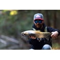 thumbnail image 3 of Berkley PowerBait® Snake-Tongue Minnow Fishing Bait, 4 cm, Black Shad, 3 of 3