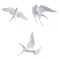thumbnail image 1 of 3 Golondrinas de Resina Nórdica, Pájaros, Decoración de Pared, Jardín, Sa de Estar, Adorno Sunnimix arte colgante de pared, 1 of 8