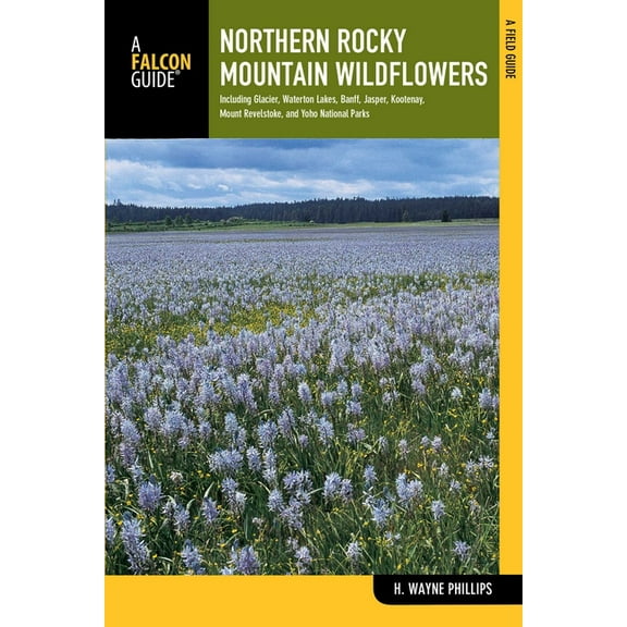Wildflower Northern Rocky Mountain Wildflowers, (Paperback)