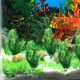 thumbnail image 4 of TABLETREANDS 10Ud Ornamentación Con Artificiales Para Pecera Realistas, 4 of 8