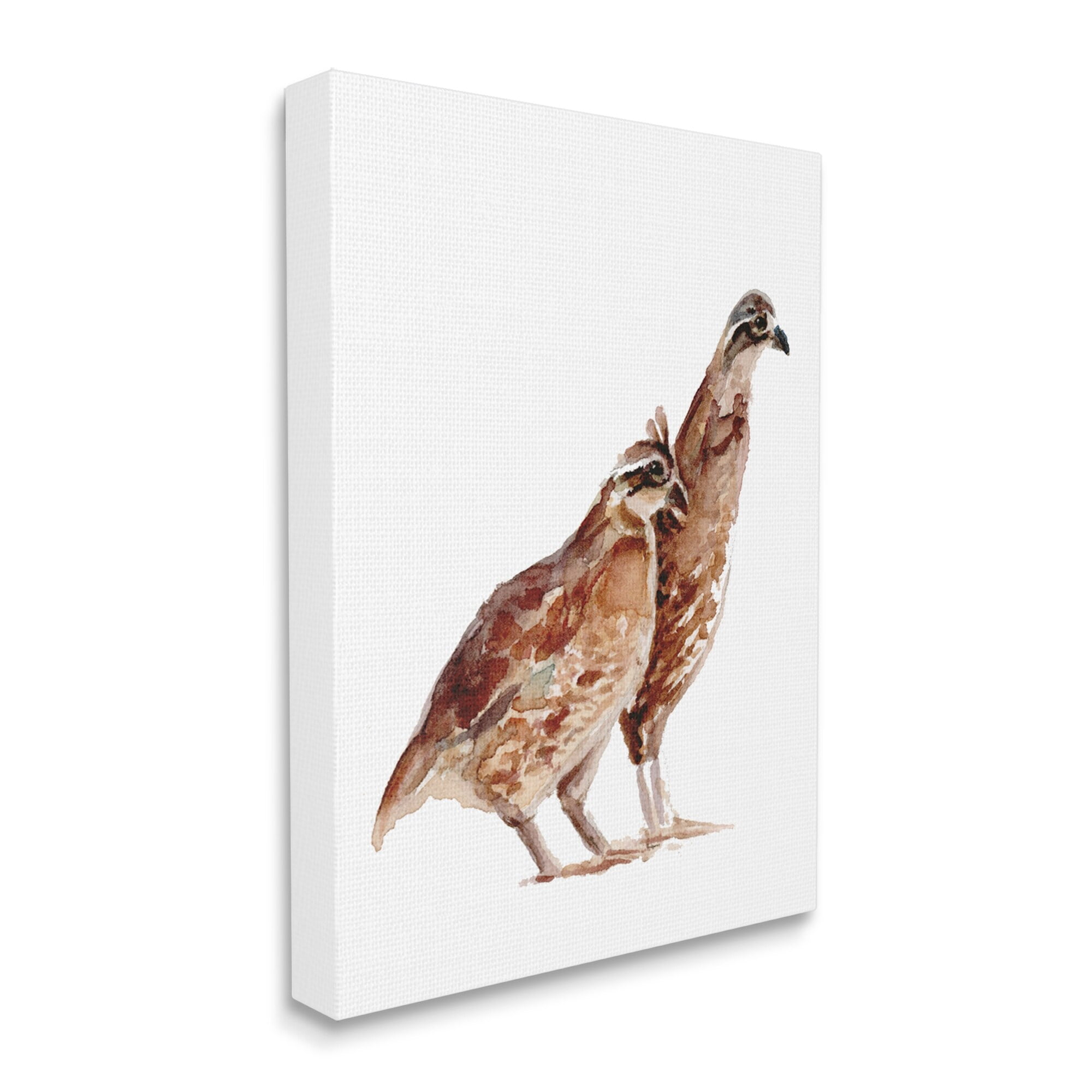 Stupell Industries Quail Bird Pair Children's Nursery Watercolor Painting Wildlife, 36 x 48,Design by Fox Hollow Studios