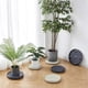thumbnail image 5 of Round Movable Flowerpot Tray with Wheel Outdoor and Indoor Tree Flower Arrangement Bracket Articles of Daily Use E, 5 of 5