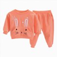 thumbnail image 3 of TOWED22 Toddler Girl Fall Clothes Soft Outfits Set Graphic Print/Embroidery Knit Top & Sweatpants 2Pcs Cute Home Outdoor,Orange,9-12 M, 3 of 8