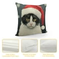 thumbnail image 4 of HENGT  Cat Pillow Covers cat Throw Pillow,Cat Pillow Cases, cat Pillow Cover,Cat Gifts for Cat Lovers,cat Christmas Pillows,Christmas cat Decorations, 4 of 5