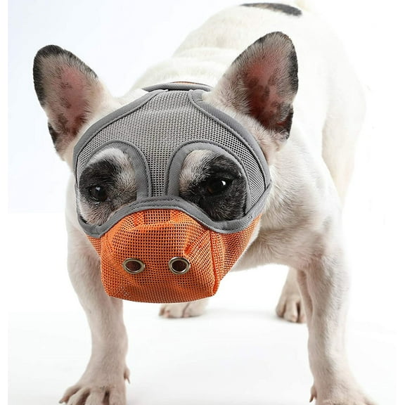 Walbest Short Snout Dog Muzzle, Breathable Mesh Anti Biting Chewing and Barking Muzzle for Pitbulls Boxers