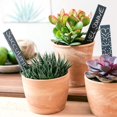 thumbnail image 5 of 10pz 15x2cm Tiquettes De Plantes En Ardoise Jardinage Tiquettes De Jardin Potager, Tiquettes D'herbes, 5 of 5