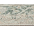 thumbnail image 5 of Amer Rugs Century Transitional Design Machine-Made Accent Rug 2'6"x8', Sea Mist, 5 of 12