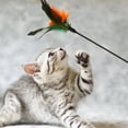 thumbnail image 4 of Juguete para gatos con plumas para jugar con el gato, 50 cm., 4 of 8