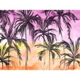 thumbnail image 3 of Vess, June Erica 24x19 Black Modern Framed Museum Art Print Titled - Island Sunset II, 3 of 5