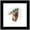 Black Framed Version, variant on Gallery Pops Star Wars: The Mandalorian - Grogu - Peeking Around Wall Art, Black Framed Version, 12" x 12"