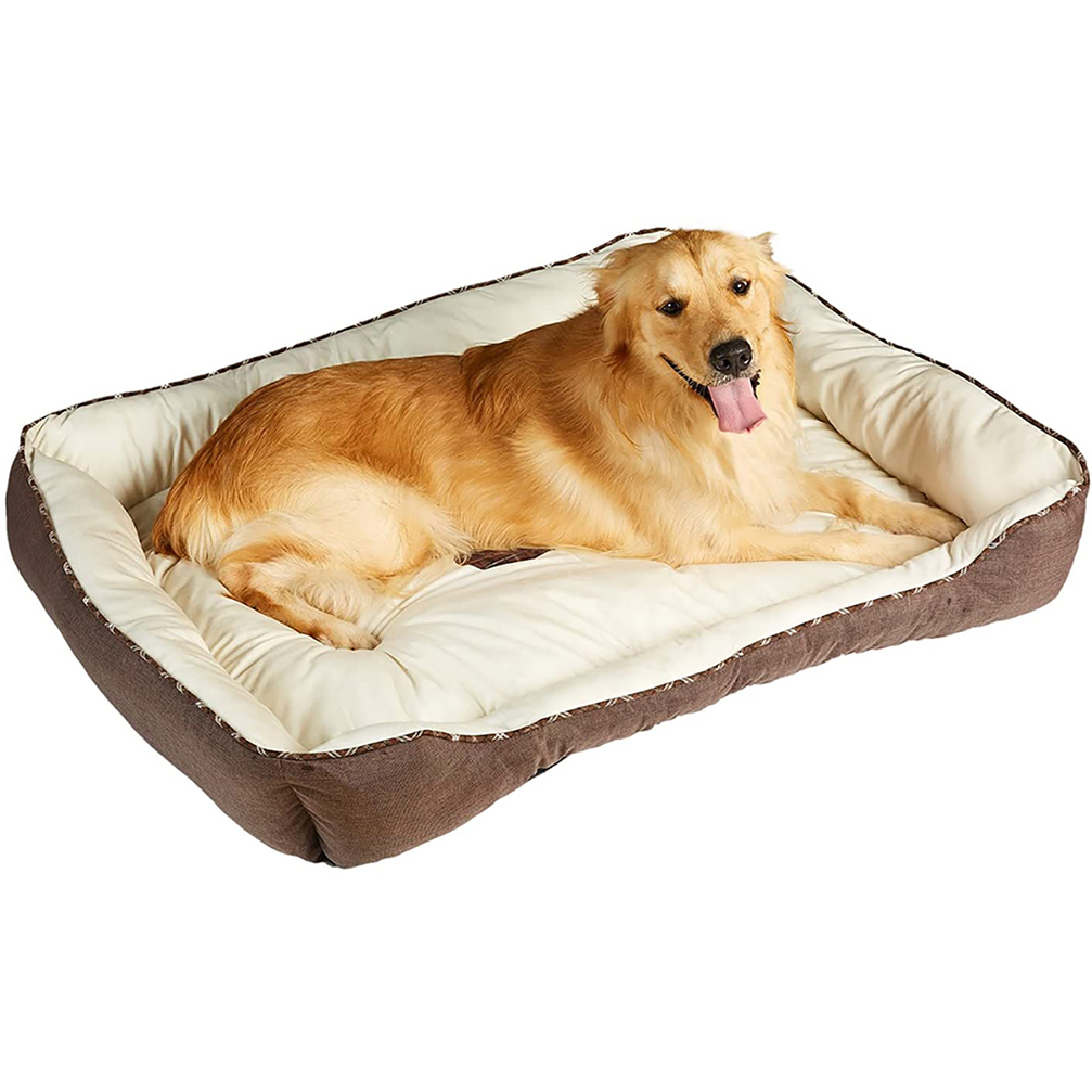 Why Do Dogs Need Beds