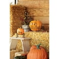 thumbnail image 2 of Spooky Spider Pumpkin Holders, set of 2, 2 of 2