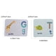 thumbnail image 3 of Rompecabezas fonético del alfabeto para niños, 26 piezas, juguete de baño a juego para educación temprana de 3 a 6 años | Letras de espuma impermeables para el desarrollo del lenguaje | Bols, 3 of 5