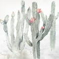 thumbnail image 2 of Coulter, Cynthia 26x26 Gold Ornate Wood Framed with Double Matting Museum Art Print Titled - Cactus Garden Gray Blush II, 2 of 4