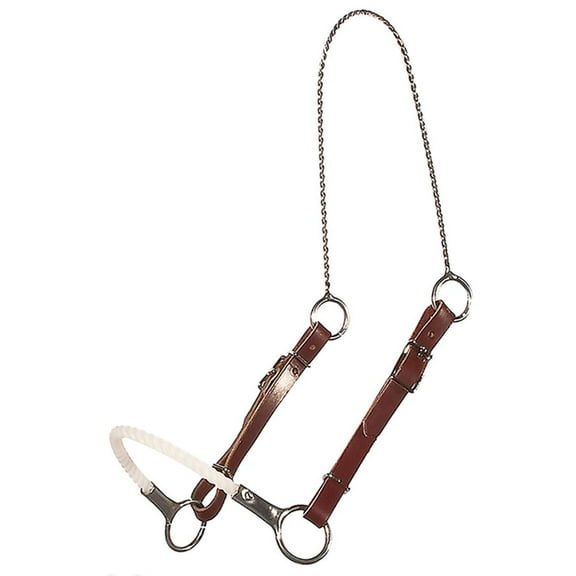 Billy Royal Showmanship Training Halter for Horse | Poll and Nose Pressure Based