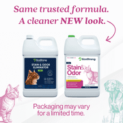Cat Stain and Odor Eliminator: Enzyme Urine Odor Neutralizer and Stain Remover, 1 Gallon