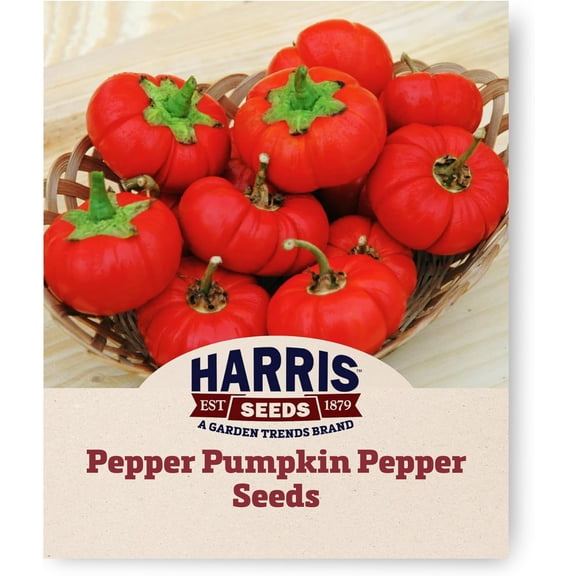 Harris Seeds - Pepper Pumpkin Miniature Thornless Fruit Seeds - 250 Seeds