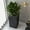Black, variant on LeisureMod Papyrus Modern Fiberstone and Clay Planter Rectangular Weather-Resistant Planter with Drainage Holes for Indoor and Outdoor (Brown)