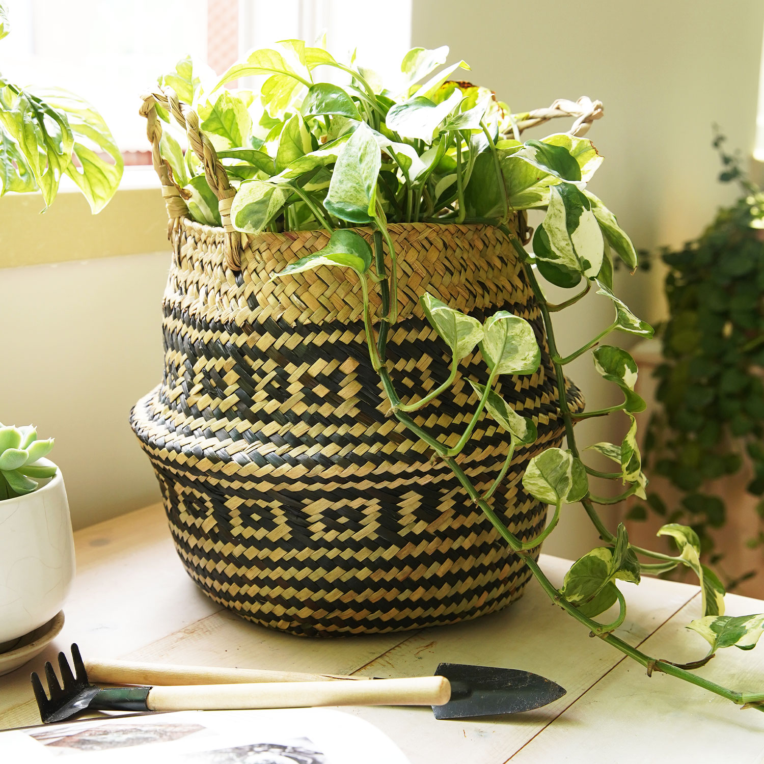 LE TAUCI Plant Basket, 7 inch Small Black Flower Woven Seagrass Belly Baskets, Home Boho Decor, Storage Laundry Picnic Grocery Straw Bag
