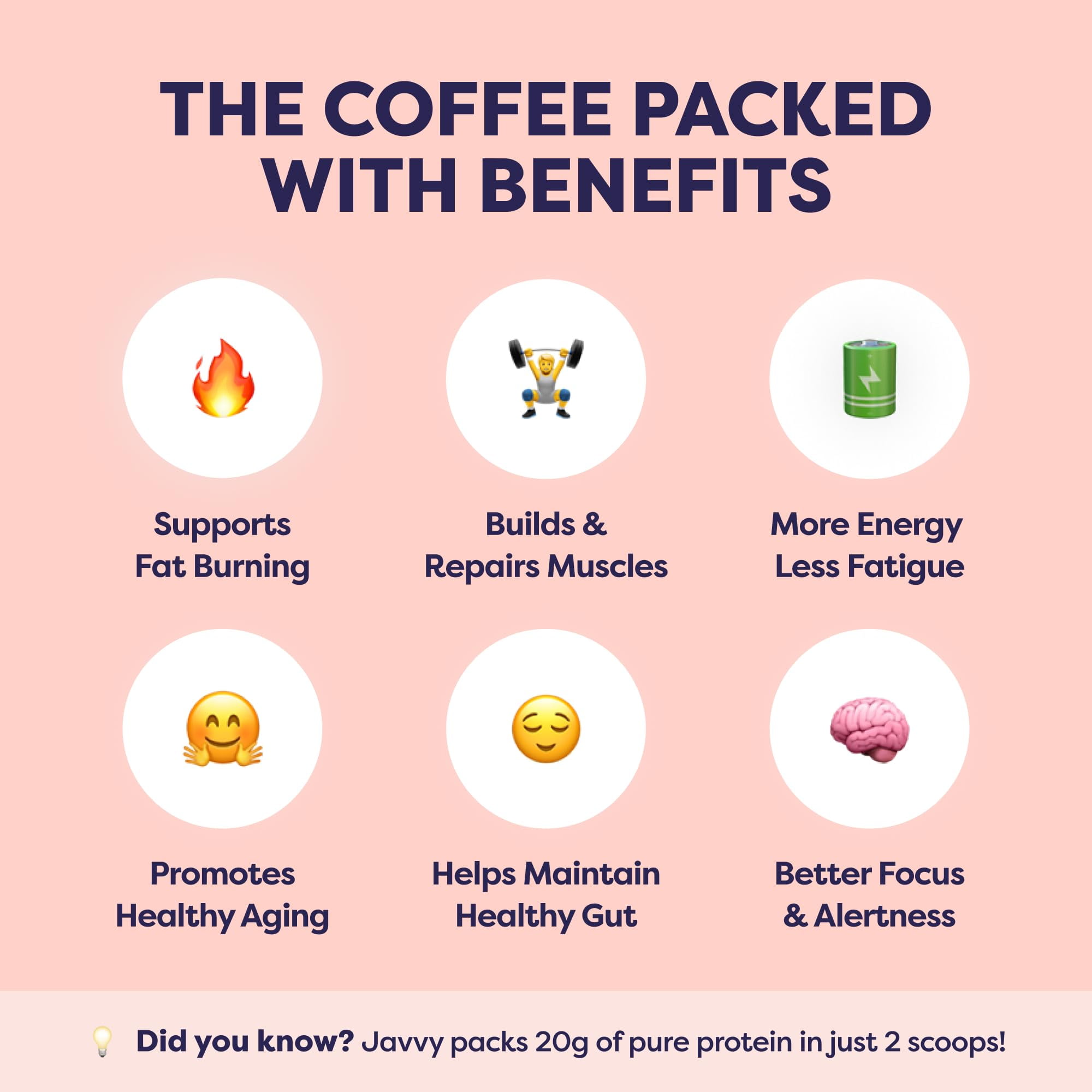 Hazelnut Protein Iced Coffee - Premium Whey Protein & Instant Iced Coffees - 100% Natural Cold Brew Coffee - Zero Artificial Flavors & Sweeteners, 80 mg Caffeine Per Serving, 0g of Sugar, 20 Servings