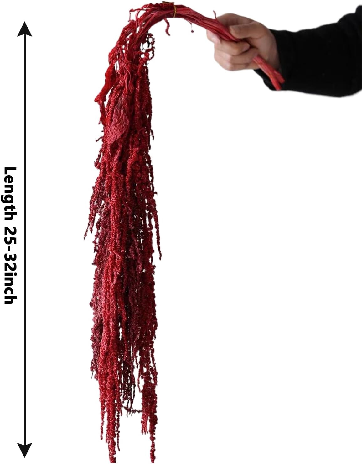 Wisteria Vine Hanging Flowers: 5Pcs Real Preserved Dried Amaranthus Flowers for Wedding, Flower Arrangement, Vase, 23"-26" Hanging Wisteria Flowers for Arch Decor Home Decor (Red)