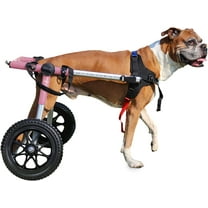 Walkin' Wheels Dog Wheelchair - for Med/Large Dogs 50-69 Pounds - Veterinarian Approved - Dog Wheelchair for Back Legs