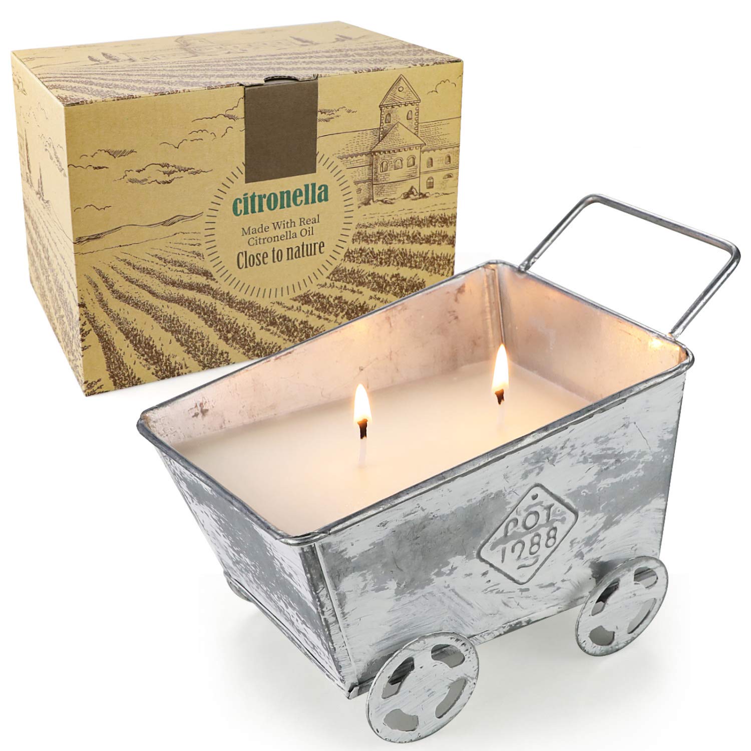 Large Citronella Candles Outdoor Indoor 2 Wick 100 Hours 18.3 oz Soy