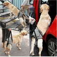 thumbnail image 5 of Arnés para perros grandes. Soporte para patas traseras que ayuda a rehabilitar las patas traseras de perros mayores con discapacidades en las patas traseras. s202412242469, 5 of 5