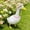 Pink_Base#4990, variant on Porch Goose Clothes Dress Up Costume – Rustic Lace Fabric Outfit, Adjustable Fit, Assorted Colors – Cute Porch Patio Yard Garden Goose Decoration