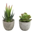 thumbnail image 4 of Attractive set of 3 potted artificial succulents for home and office decoration, 4 of 10